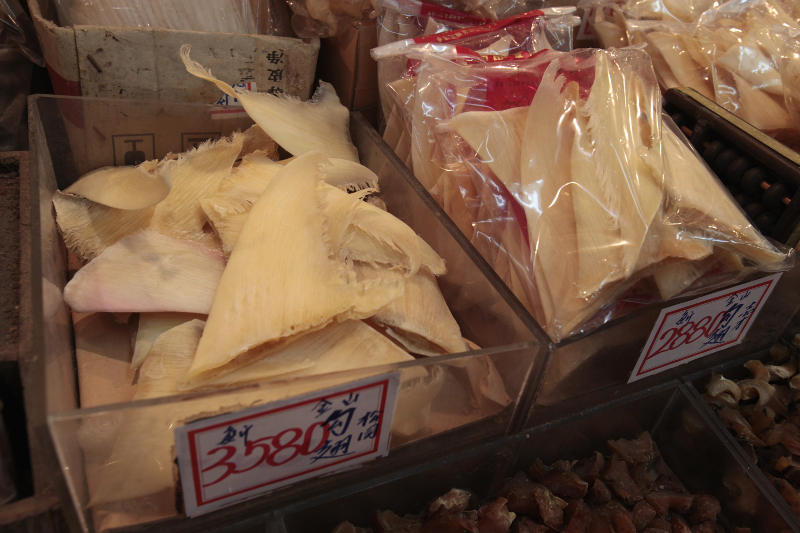 Shark fins, which cost between HK$2,880 to HK$3,580 (RM1,481 to RM1,841) per Chinese catty (1 pound/453g), are on display inside a dried seafood store in Hong Kong January 2, 2013. u00e2u20acu201d Reuters pic