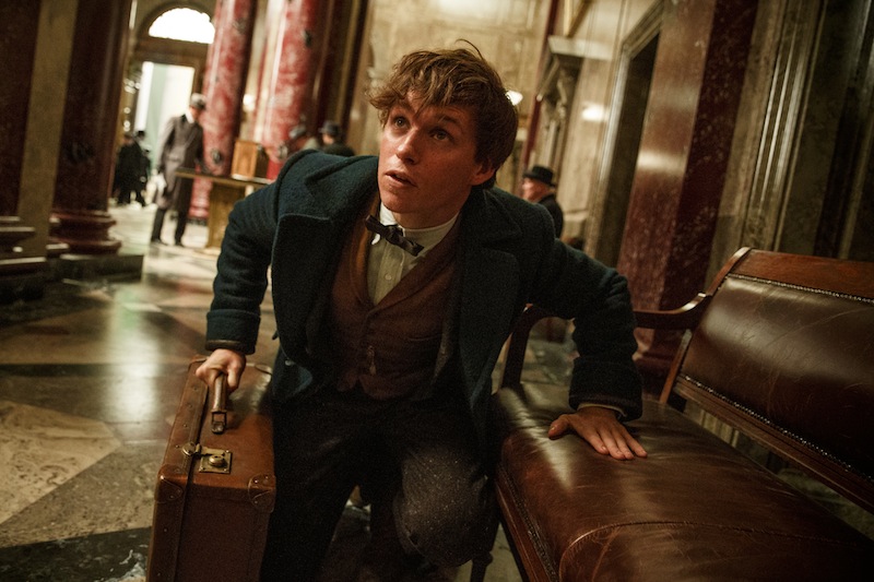 Eddie Redmayne as Newt Scamander in Warner Bros Picturesu00e2u20acu2122 fantasy adventure u00e2u20acu02dcFantastic Beasts and Where to Find Them.u00e2u20acu2122 u00e2u20acu201d Handout via AFP
