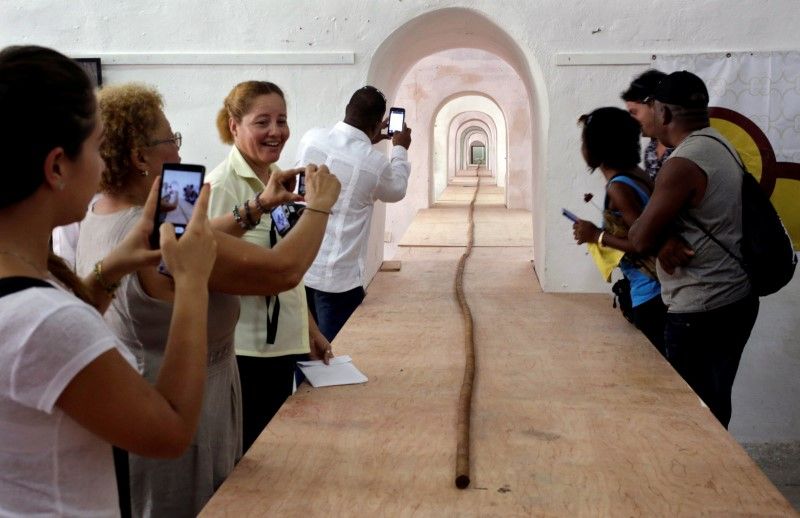 People look at the world's longest cigar that stretches 90 metres in Havana August 12, 2016. u00e2u20acu201d Reuters pic