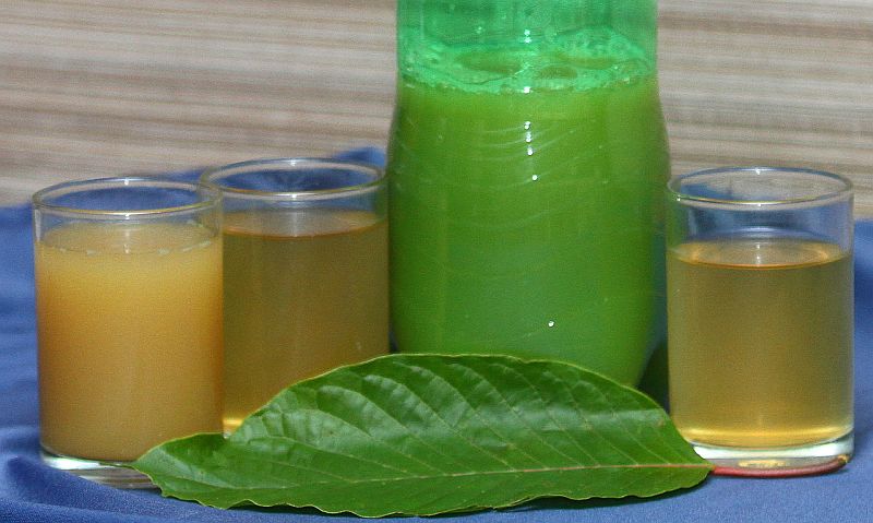 Ketum products are apparently in huge demand in the United States and Europe. u00e2u20acu2022 Bernama pic