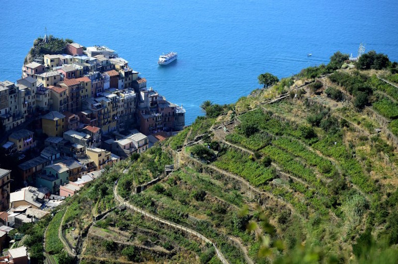 This file photo taken on September 24, 2013 shows wine fields near the village of Manarola in the u00e2u20acu02dcCinque Terreu00e2u20acu2122 area. u00e2u20acu201d AFP pic