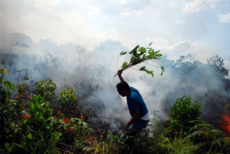 A resident tries to put out a bush fire with a tree branch in Pekanbaru, Riau, Sumatra island, Indonesia August 23, 2016. u00e2u20acu201d Reuters pic