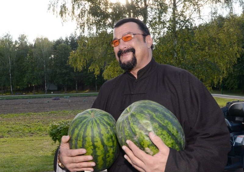 US actor Steven Seagal who has been recently granted Serbian citizenship, holds two watermelons during his meeting with the Belarus President at his residence of Drozdy, outside Minsk, August 24, 2016. u00e2u20acu201d AFP pic