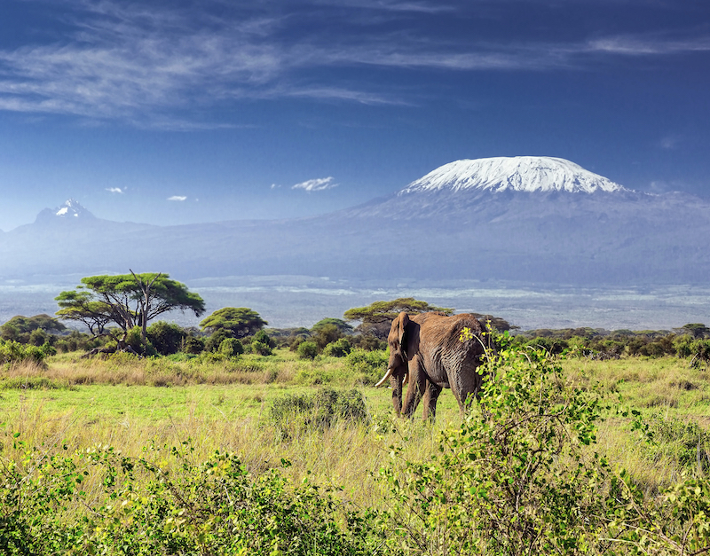 Holiday bookings to Tanzania have risen 27 per cent, a fact that luxury travel network Virtuoso credits to the rising interest in safari expeditions. u00e2u20acu201d 1001slide/Istock pic via AFP