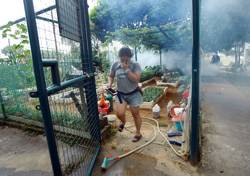 A resident leaves a community garden as a worker fogs the area at a new Zika cluster area in Singapore September 1, 2016. u00e2u20acu201d Reuters pic