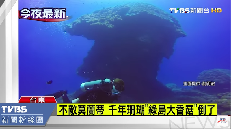 The towering coral known as the u00e2u20acu02dcBig Mushroomu00e2u20acu2122 is seen before it was toppled after Typhoon Meranti struck last week. u00e2u20acu201d Screengrab from YouTube