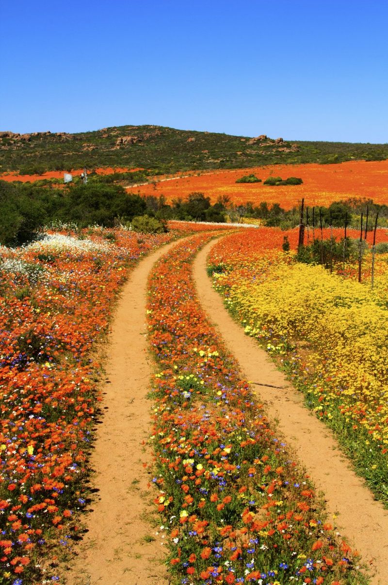 The daring Tour d'Afrique that starts in Egypt is also featured in Lonely Planet's 'Epic Bike Rides of the World'.