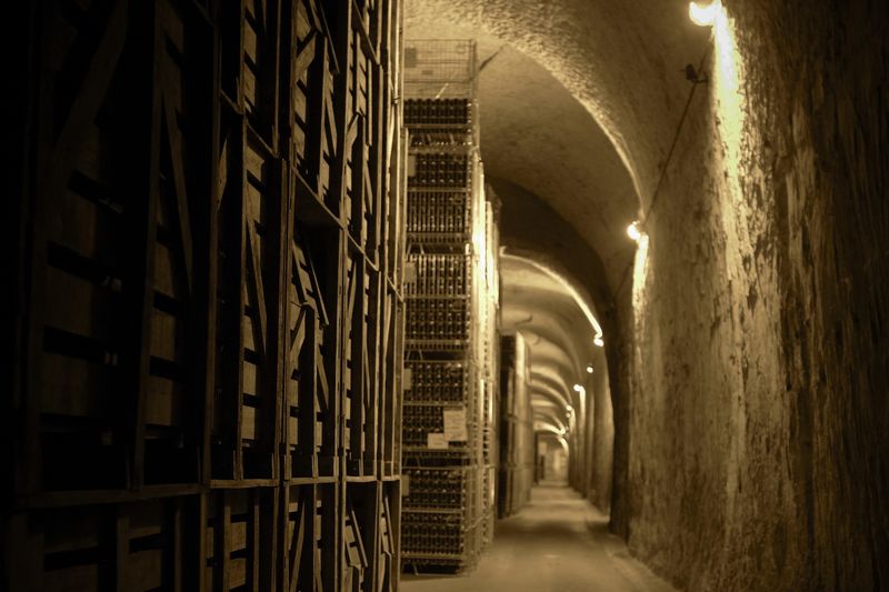 In the Duval-Leroy cellars. u00e2u20acu201d AFP pic
