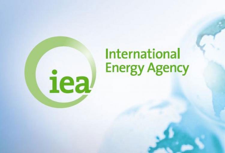 The International Energy Agency generic