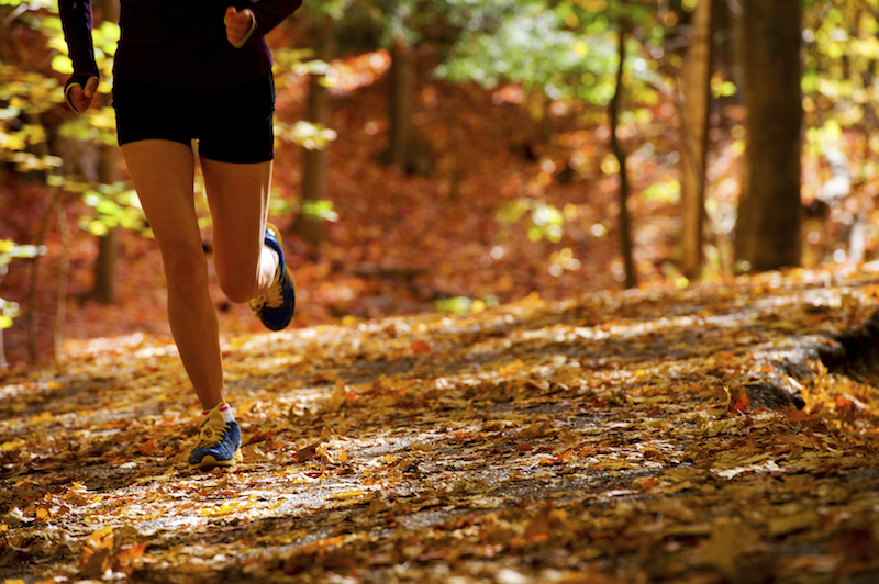 Anyone whou00e2u20acu2122s bored of their usual urban routes can break the routine with routes suggested by a new running app. u00e2u20acu201d Istock.com pic via AFP 