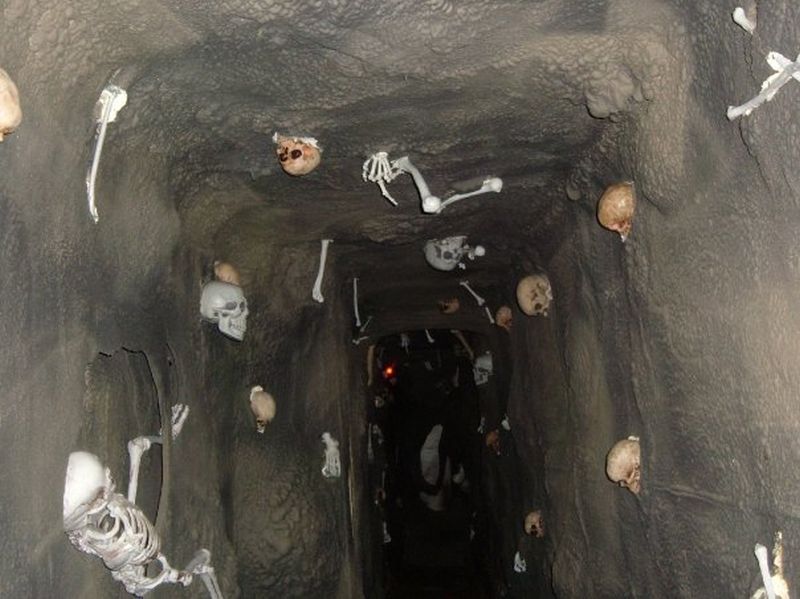 Witches of New Salem in Dorr, Michigan. ― Picture courtesy of New Salem Corn Maze/The LineUp