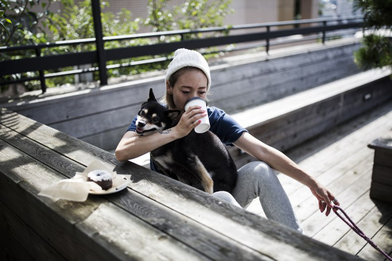 In this photo taken on October 4, 2016, coffee drinker Yu Fukuhara holds her Shiba Inu dog, Lily, as she enjoys her beverage at a coffee shop in Tokyo. u00e2u20acu201d AFP pic