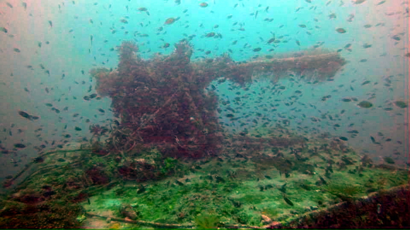 A wreck, believed to be that of Japanese warship Gyosin Maru, was found by a group of divers searching for seahorses and sea cucumbers in Pulau Berhala, Rompin September 28, 2016. u00e2u20acu201d Bernama pic