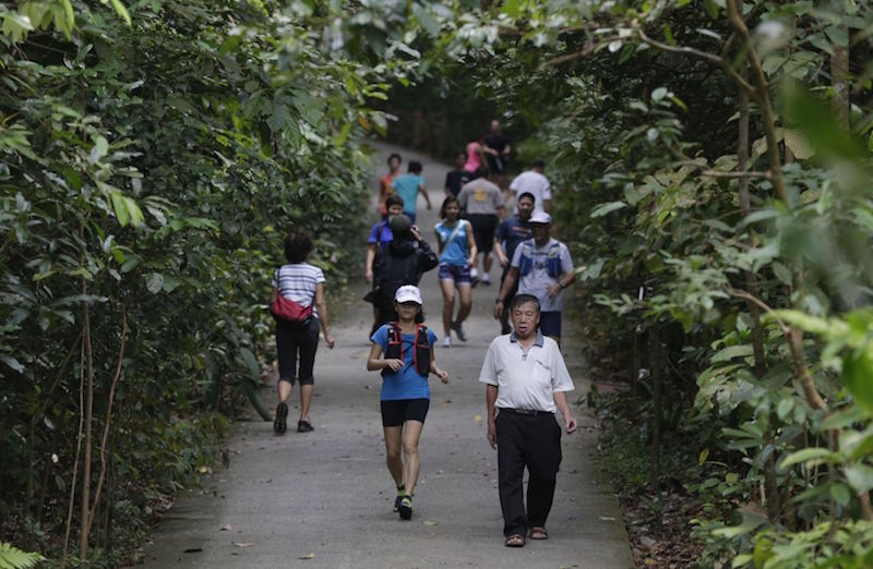 Members of the public at Bukit Timah Nature Reserve after completion of restoration works. u00e2u20acu201d TODAY pic