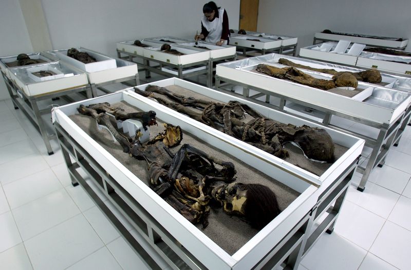 Chinchorro mummies are seen inside Azapa's San Miguel Museum in Arica city, north Santiago in this October 27, 2005 file picture. u00e2u20acu201d Reuters pic