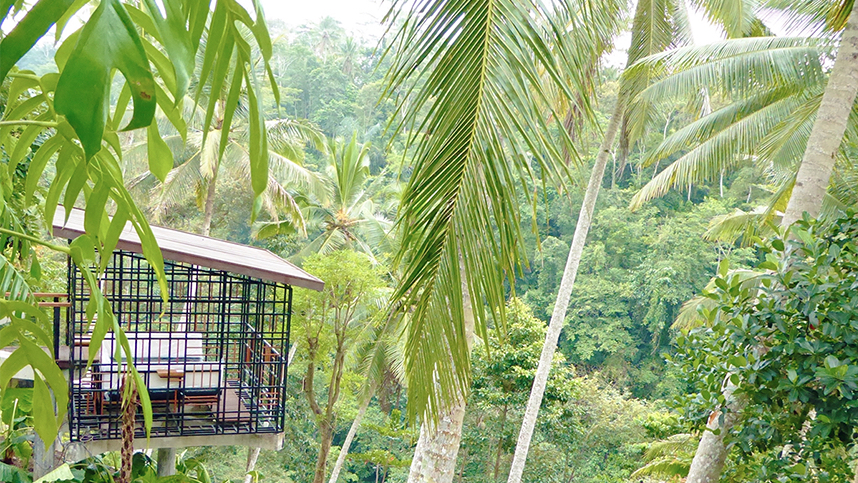 Hoshinoya Bali is enveloped by the lush green hills of Ubud. u00e2u20acu201d File pic