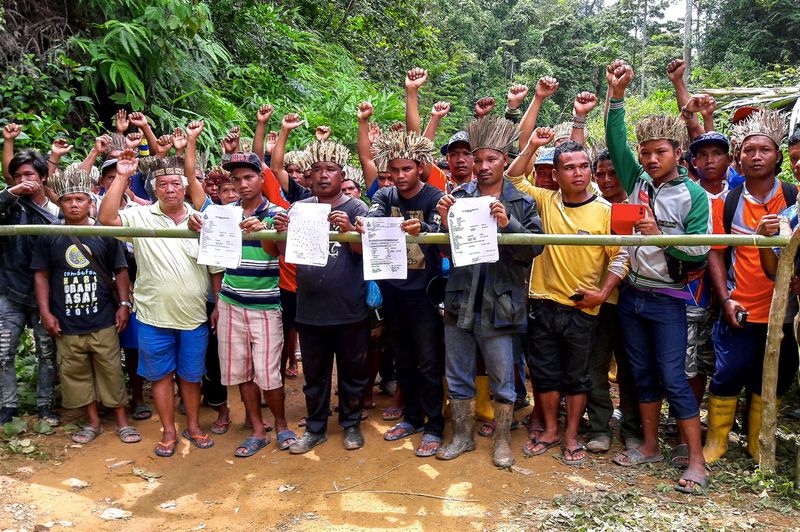 Over 200 Orang Asli had put up a blockade at the Balah Forest Reserve in Gua Musang to prevent logs from being taken out from the area. Their blockade was later destroyed. — Bernama pic