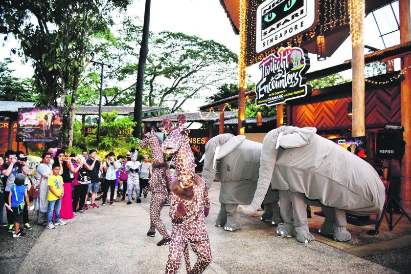 Visitors can enjoy a Paw-some Parade with appearances of elaborately costumed giraffes and zebras at Night Safari. u00e2u20acu201d Today Online pic