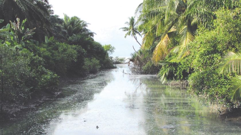 Pig waste flows through Sungai Batu Untung in Tanjung Sepat into the sea, resulting in a stench. u00e2u20acu201d Picture by Sahabat Alam Malaysia