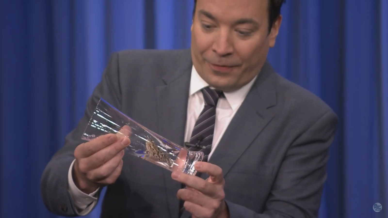 Yep. That's a live frog all right.