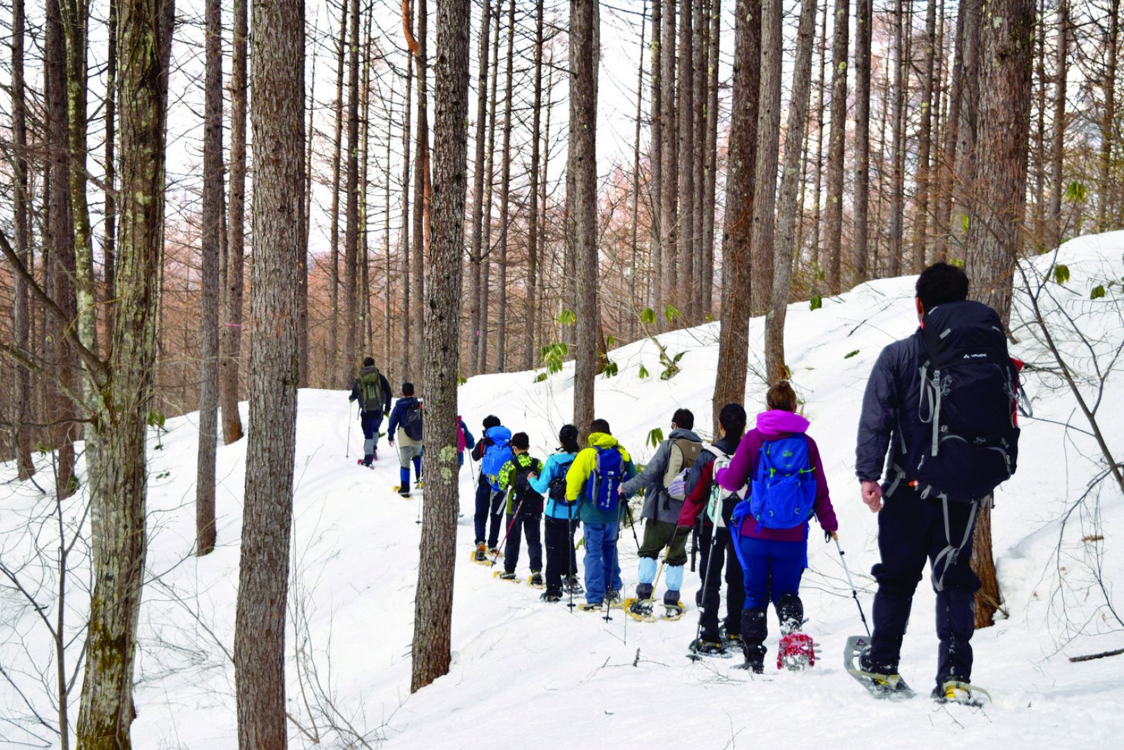 The Walk Japan group is made up of Americans, British and Singaporeans, eager to take in Japan's ethereal timeless winter beauty. u00e2u20acu201d TODAY pic