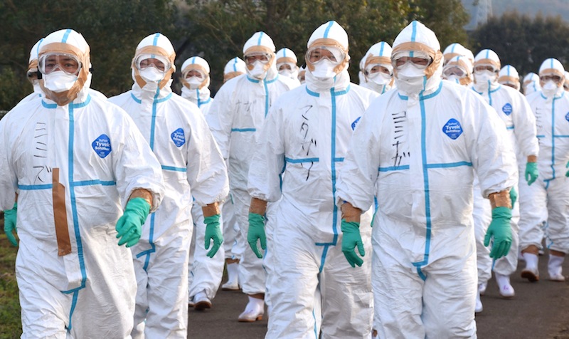 Quarantine officials in protective gears head to a poultry farm in Kawaminami, Miyazaki Prefecture, southwestern Japan in this photo taken by Kyodo December 20, 2016.u00c2u00a0u00e2u20acu201d Reuters pic 