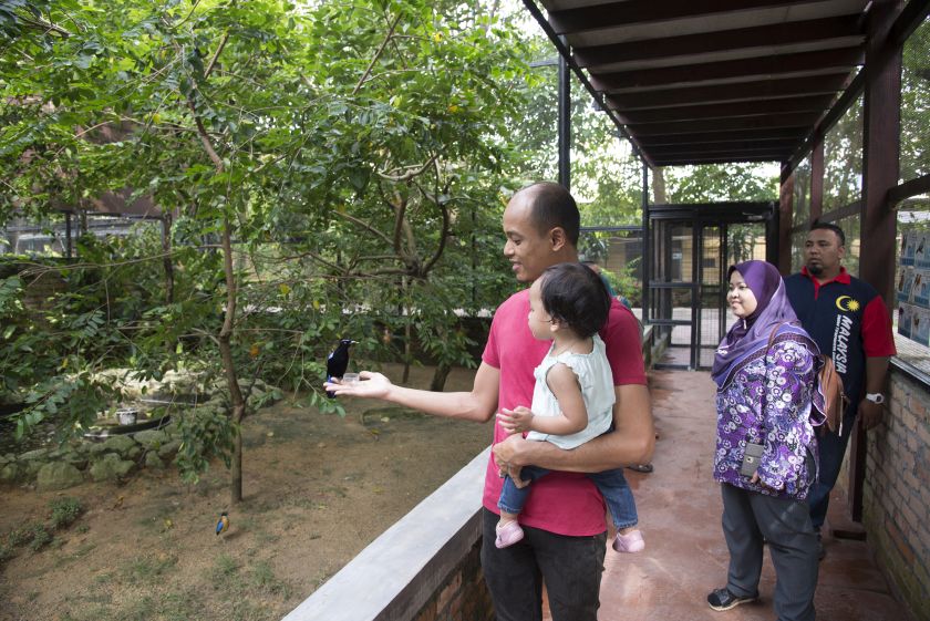 The Penang Bird Park has three aviaries where visitors can feed the birds. — Picture by K.E.Ooi