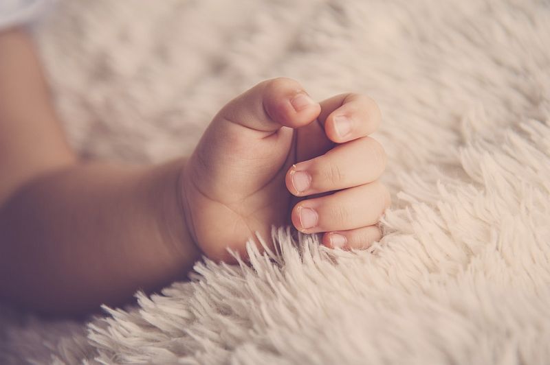 The study suggests that environmental factors can affect reproductive success. u00e2u20acu201d Picture courtesy of marctranvn/Istock.com