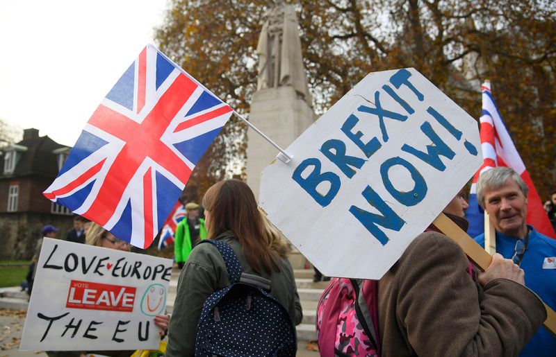 Demonstrators supporting Brexit protest outside of the Houses of Parliament in London November 23, 2016. u00e2u20acu201d Reuters pic
