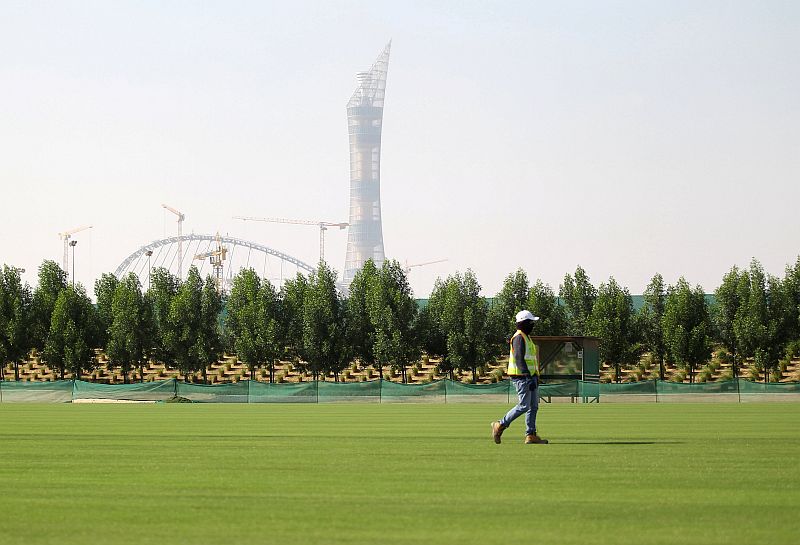 A worker walks on grass being grown for Qatar's 2022 World Cup, at an experimental facility in Doha, Qatar November 29, 2016. u00e2u20acu2022 Reuters pic 