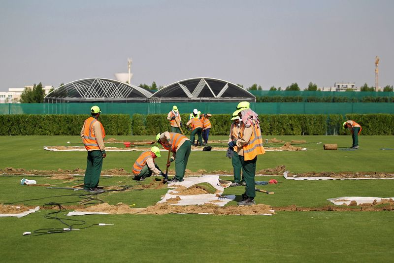Workers test soil as they grow grass for Qatar's 2022 World Cup at an experimental facility in Doha November 29, 2016. u00e2u20acu201d Reuters pic