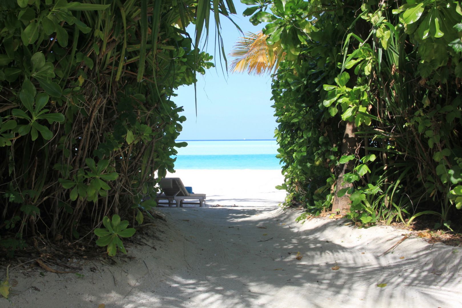 Beach, please. Anantara Dhigu's secret nature nooks open up to wide open oceans. — TODAY pic