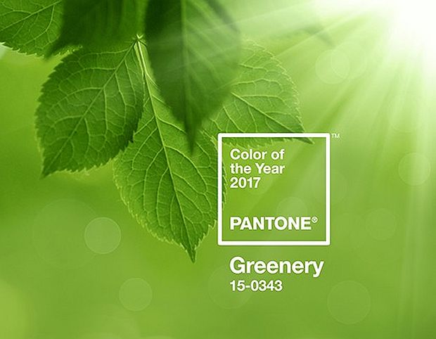 Pantone 15-0343 Greenery, the colour of 2017. u00e2u20acu2022 Picture courtesy of Pantone