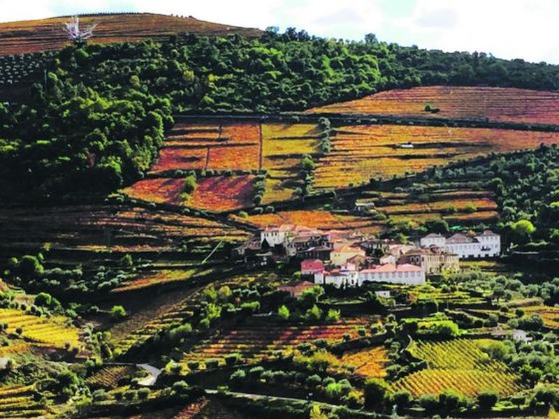 The Duoro Valley is the most beautiful in Fall but if you want to try your hand at hand-harvesting grapes and grape treading, you have to head there in September. u00e2u20acu2022 TODAY pic