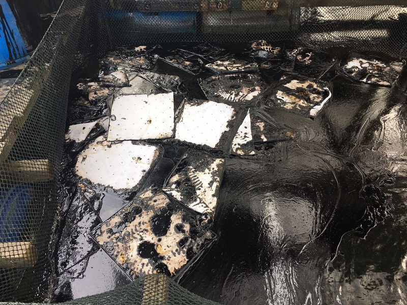 A box containing oil-soaked sheets at Timothy Ngu00e2u20acu2122s 2Jays Pte Ltd fish farm. Ng said no more than 10kg of fish at his farm had died due to the oil spill on Jan 3, 2017. u00e2u20acu201d TODAY pic