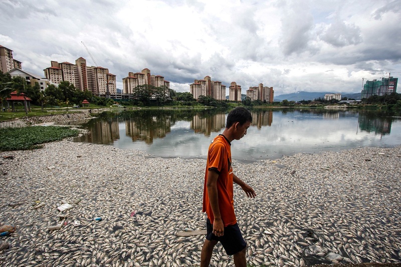 Yayan Abranto, 24, a resident at the Intan Baiduri Peopleu00e2u20acu2122s Housing Project, walks past the dead fish. u00e2u20acu201d Picture by Hari Anggara