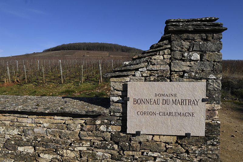 Domaine Bonneau du Martray in the Bourgogne region near Pernand-Vergelesses, eastern France. u00e2u20acu2022 AFP pic