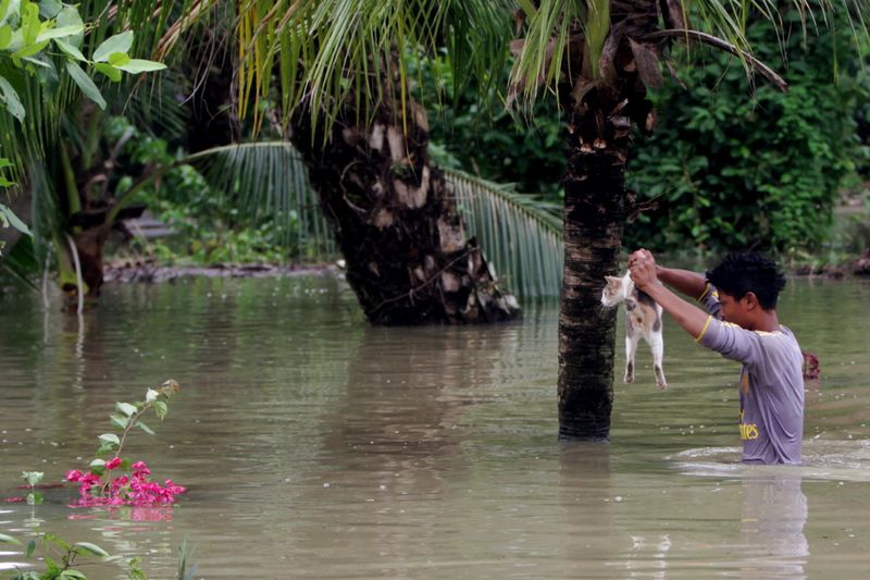 Muhammad Faruq Shabudi, 15, meredah banjir setinggi paras dada bagi menyelamatkan enam ekor kucing yang terperangkap di sebuah rumah yang ditenggelami air di Kampung Padang Serai. u00e2u20acu201d Foto Bernama