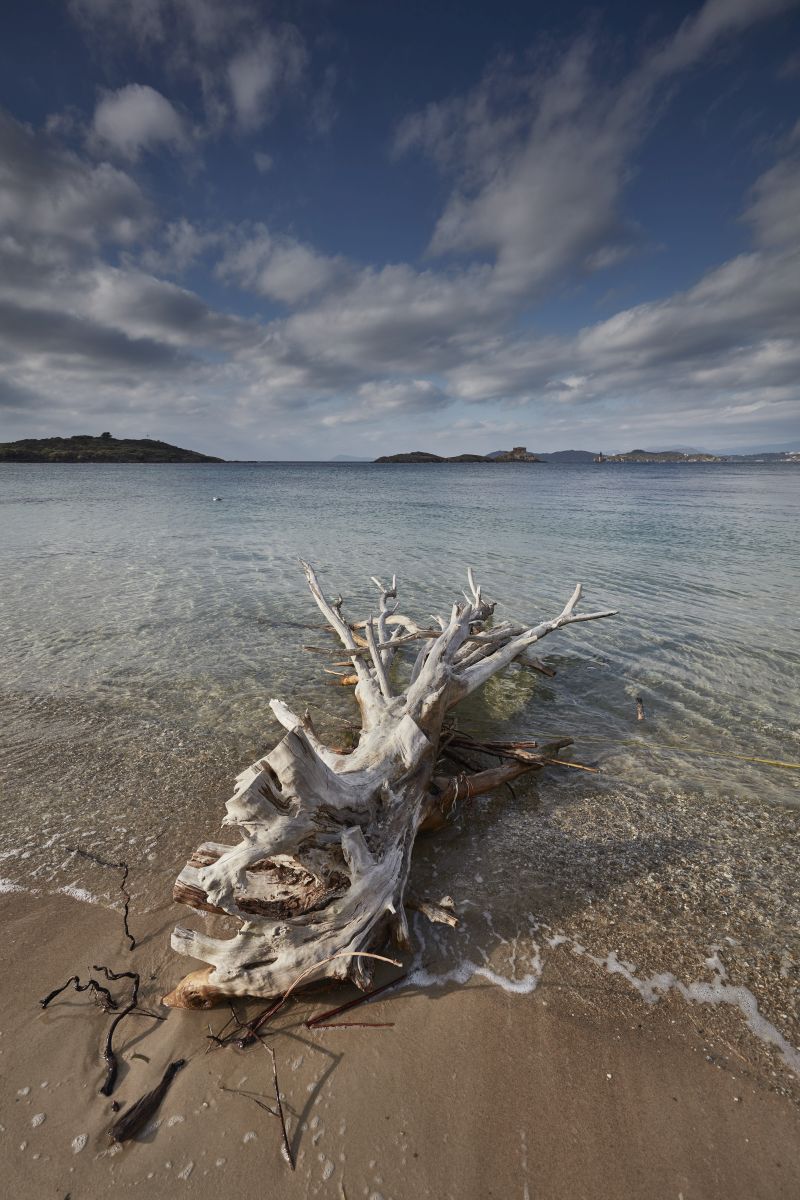 Île de Porquerolles in France, December 2016. This Mediterranean island is an unexplored refuge with mountain-biking trails, sandy beaches and a single rustic vineyard offering free daily wine tastings. ― Picture by Andy Haslam/The New York Times