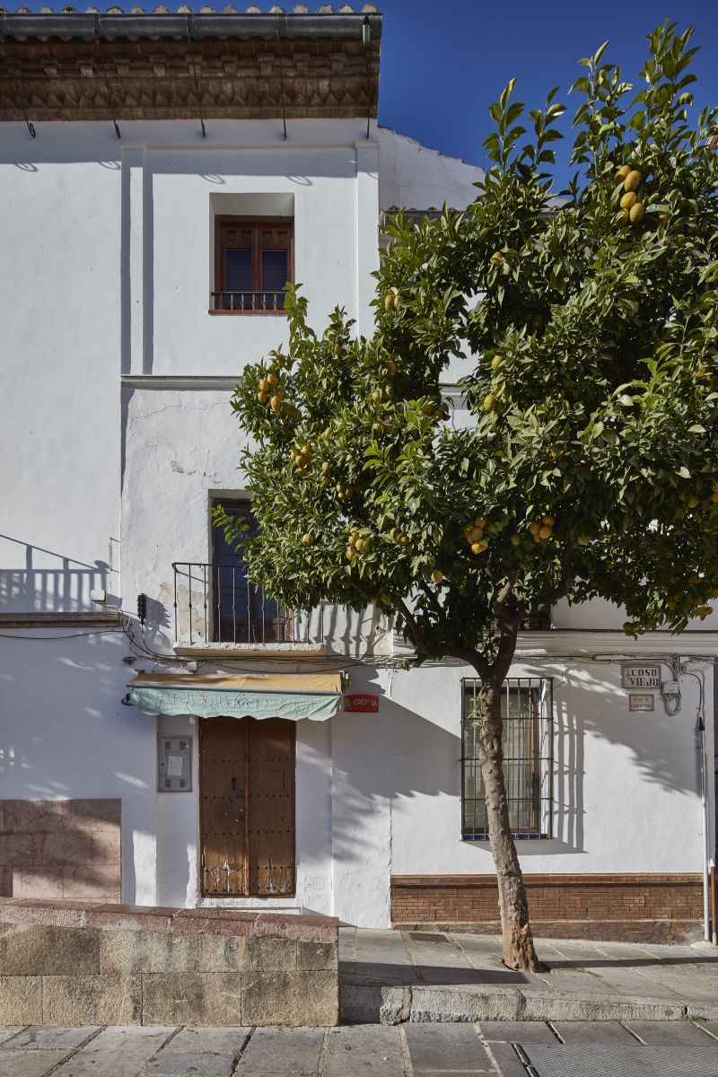 A street in Antequera, in Andalusia, Spain, November 2016. A site in the town is home to ancient dolmens, megalithic tombs built from massive stones believed to be over 5,000 years old. ― Picture by Andy Haslam/The New York Times