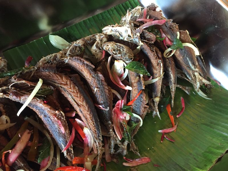 Fried or braised, the basung fish is a tasty dish that can be eaten whole if deep-fried properly.