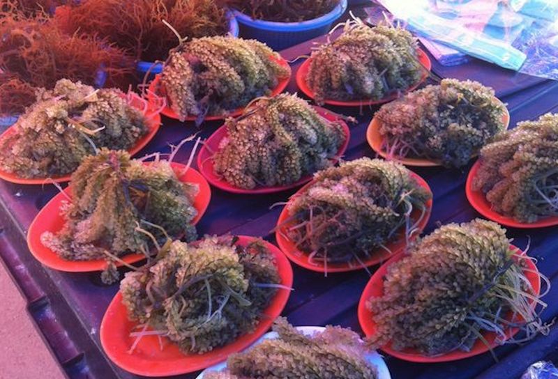 Latok is available at markets in Kota Kinabalu where grilled seafood is sold.