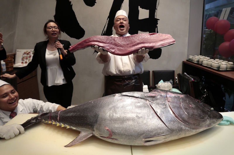 Master maguro cutter Ryuji Kawamata slices fresh bluefin tuna for new restaurant Kuro Maguro at a media session in Singapore January 24, 2017. u00e2u20acu201d TODAY pic
