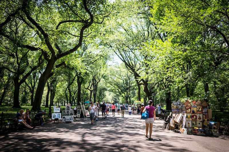 New Yorku00e2u20acu2122s Central Park in the summer. u00e2u20acu201d TODAY pic
