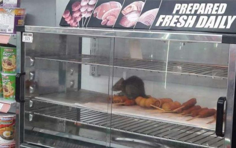 7-Eleven has apologised to its customers after a rat was photographed in a food warmer at its outlet in Kelana Centre Point, Selangor. u00e2u20acu201d Picture courtesy of Facebook/KEMENTERIAN KESIHATAN MALAYSIA
