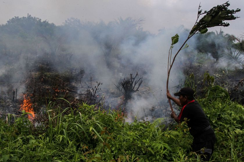 A man puts out a fire using a tree branch at a fire field in Pekanbaru, Indonesia's Riau province January 18, 2017. u00e2u20acu201d Reuters pic