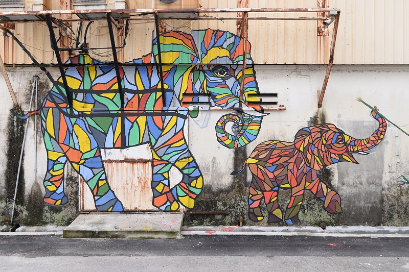 Elephants were used to transport sugar cane back in the old days.