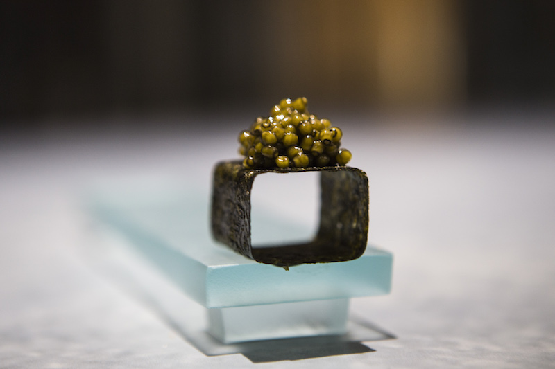 Seaweed with caviar at Enigma, opened by Albert Adria, one of some 40 dishes served during a dining experience that lasting three hours, in Barcelona February 22, 2017. u00e2u20acu201d Picture by Myriam Meloni/The New York Times