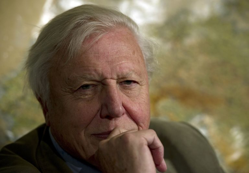 u00e2u20acu02dcBlue Planetu00e2u20acu2122 will be presented by British broadcaster Sir David Attenborough. u00e2u20acu201d AFP pic