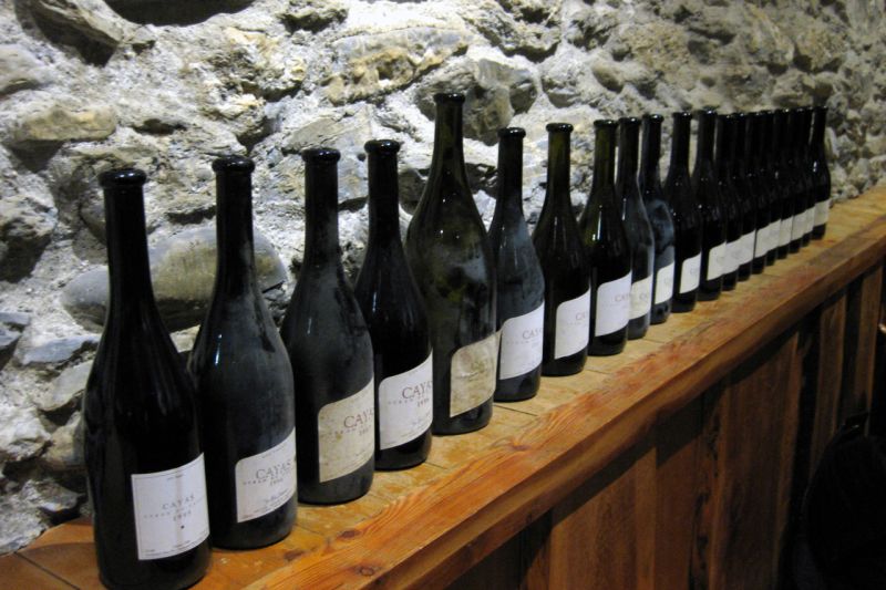 A lineup of the bottles of Cayas Syrah for the wine tasting. u00e2u20acu2022 Picture by Sue Style/Zester Daily